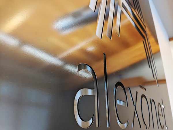 Alexonet Cybersecurity Consulting Company